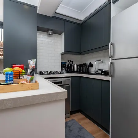 Luxury 2-bedroom Bosphorus View Flat With Private Parking And Elevator Istanbul